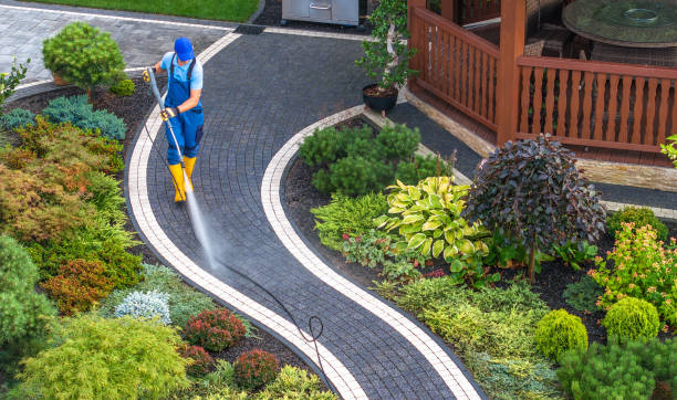 Best Roof Power Washing Services  in Hesperia, CA